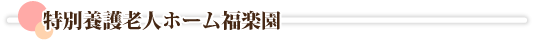 ʗ{Vlz[y