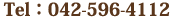 TelF042-596-4112